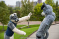 fursuit-romp-oct-13-2018-114