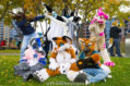 fursuit-romp-oct-13-2018-149