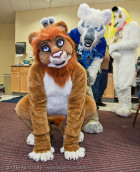 fursuit-mnfurs-crouching-lion