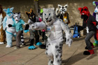 fursuit-mnfurs-picnic-theres-the-alien