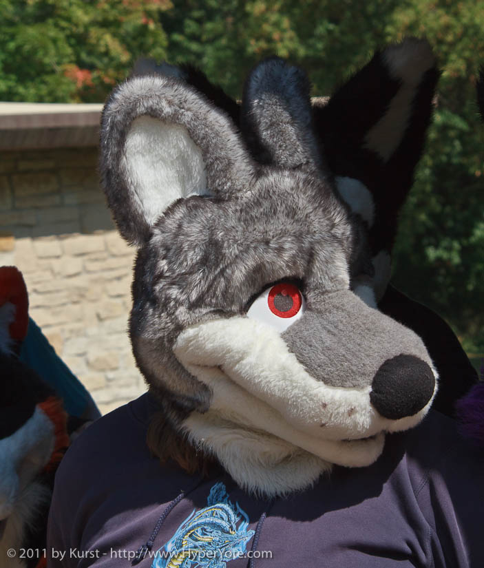 mnfurs-fall-picnic-fursuit-2011-a-side