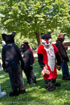 mnfurs-fall-picnic-fursuit-2011-can-everyone