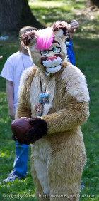 mnfurs-fall-picnic-fursuit-2011-furs-vs-skins