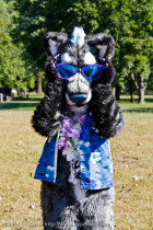 mnfurs-fall-picnic-fursuit-2011-sunglasses-on