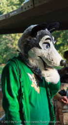 mnfurs-fall-picnic-fursuit-2011-taste-like