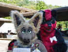 mnfurs-fall-picnic-fursuit-2011-thumbs-up