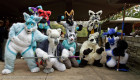 mnfurs-fursuit-lining-up