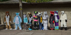 mnfurs-fursuit-picnic-all-lined-up