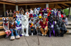 mnfurs-spring-2012-picnic-fursuit-almost-just-fursuits