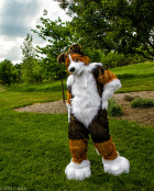 mnfurs-spring-2012-picnic-fursuit-are-you-saying