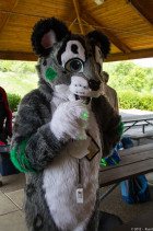 mnfurs-spring-2012-picnic-fursuit-behind-my-back