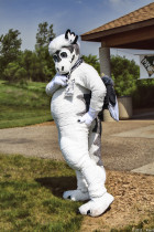 mnfurs-spring-2012-picnic-fursuit-do-you