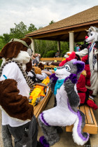 mnfurs-spring-2012-picnic-fursuit-dont-shoot