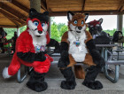 mnfurs-spring-2012-picnic-fursuit-edge-of-seat