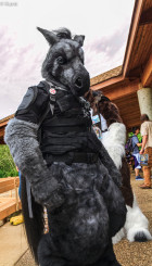 mnfurs-spring-2012-picnic-fursuit-for-battle