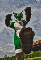 mnfurs-spring-2012-picnic-fursuit-guiness-stomp