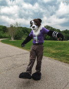 mnfurs-spring-2012-picnic-fursuit-hard-to-walk