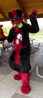 mnfurs-spring-2012-picnic-fursuit-hi-there