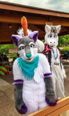 mnfurs-spring-2012-picnic-fursuit-honoarary-unicorn