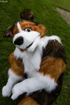 mnfurs-spring-2012-picnic-fursuit-huh