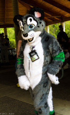 mnfurs-spring-2012-picnic-fursuit-i-stand-out