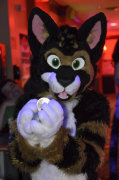 mnfurs-bowling-feb-20-2016-120