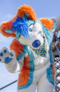 022_fursuit-romp-mar-19-2016-567