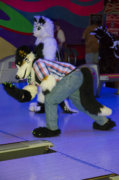 1250_mn-furs-bowling-may-7-2016-302