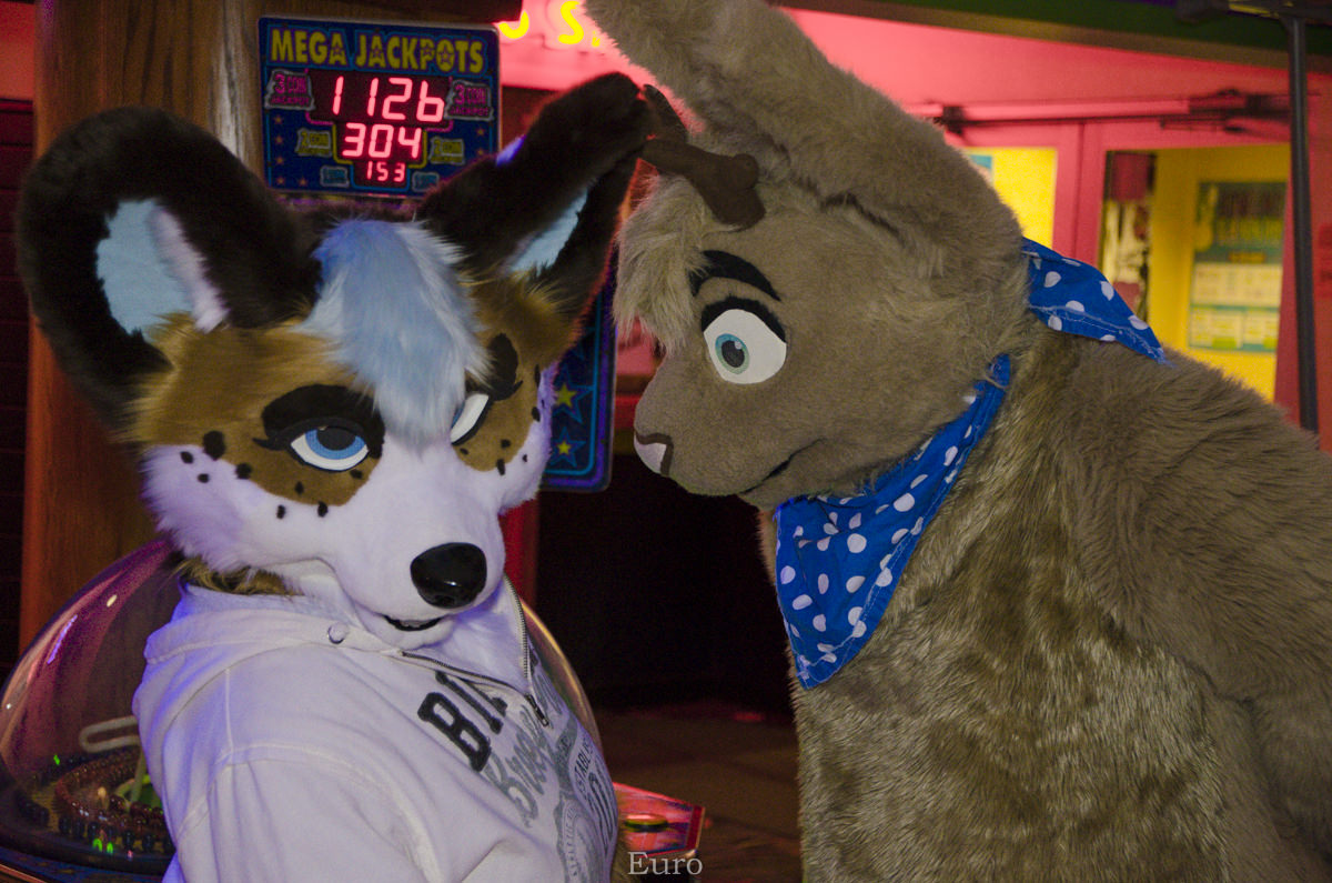 1354_mn-furs-bowling-may-7-2016-431