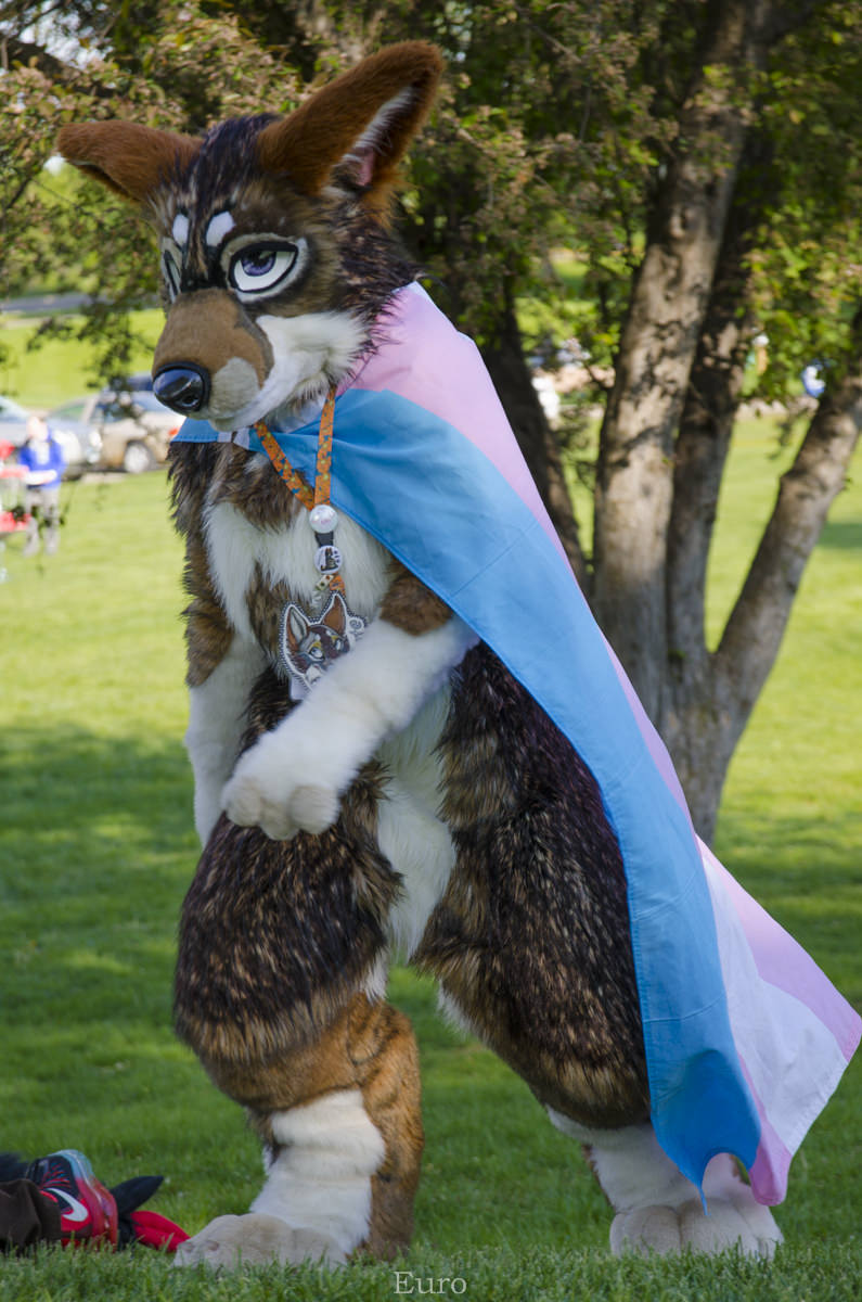 1786_mnfurs-spring-picnic-may-14-2016-873