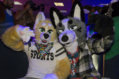 1858_mn-furs-bowling-may-7-2016-496