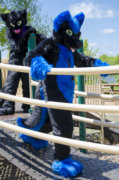 1990_mnfurs-spring-picnic-may-14-2016-373