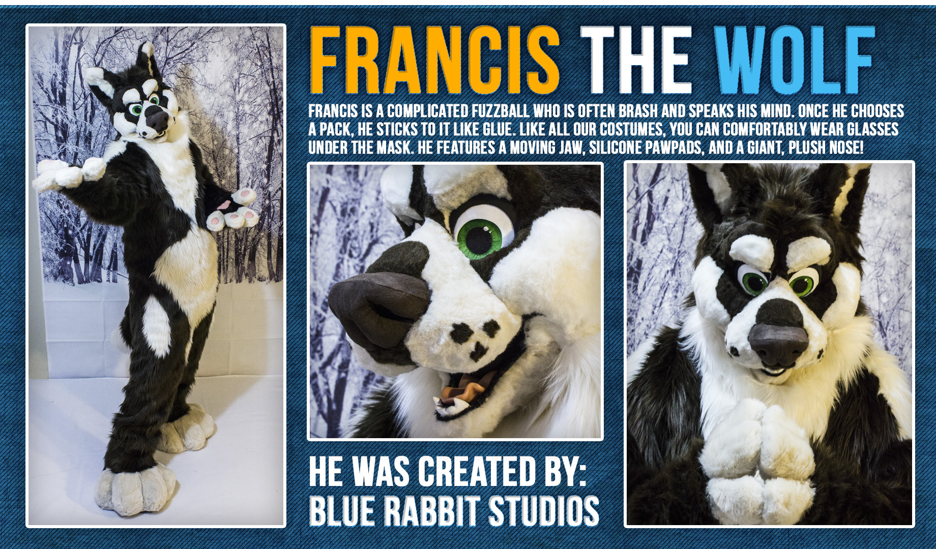 showcase-francis-wolf