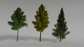 trees-hq-norrth-tech-models